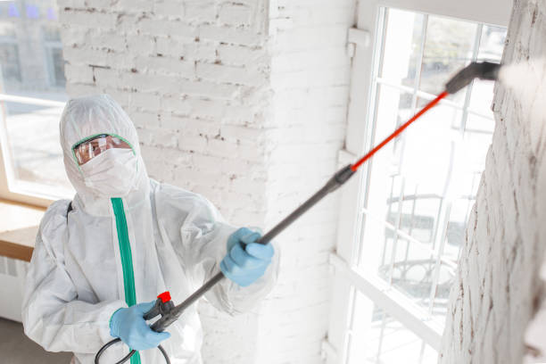 Best Mold Prevention Services  in Northford, CT
