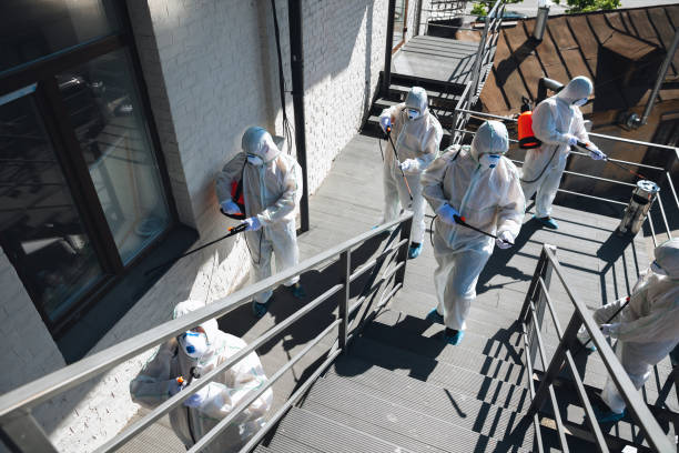 Best Asbestos and Lead Testing During Mold Inspection  in Northford, CT