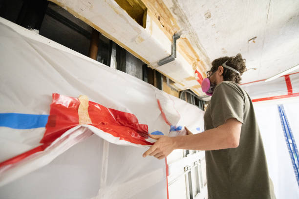 Best Attic Mold Removal  in Northford, CT