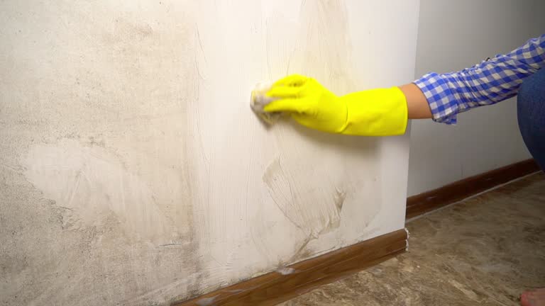 Best Post-Remediation Verification Testing  in Northford, CT