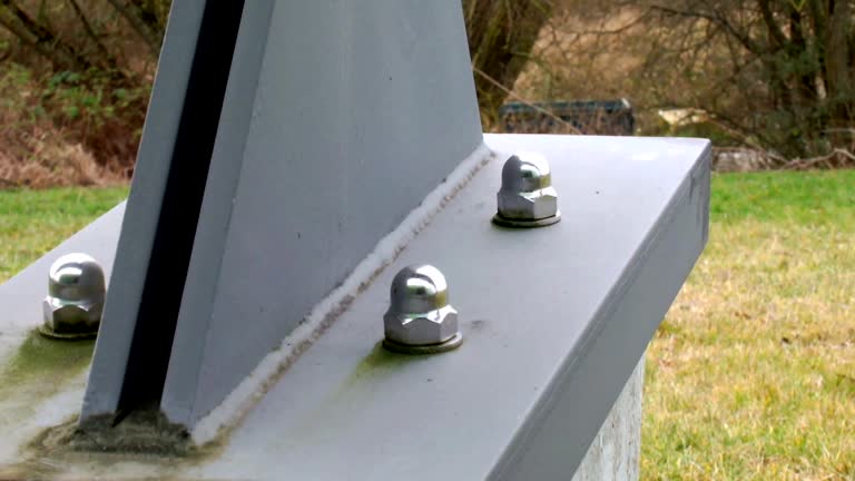 Best Industrial Mold Remediation  in Northford, CT